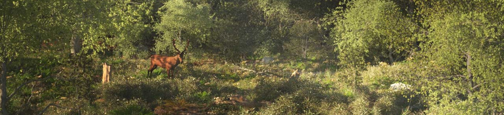 An artists reconstruction of a forested prehistoric landscape.