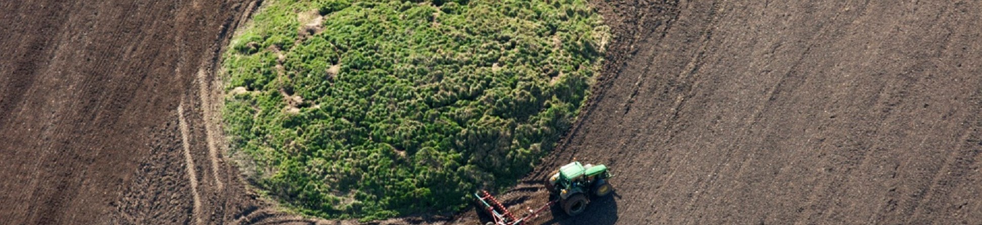 A round barrow clipped by ploughing.